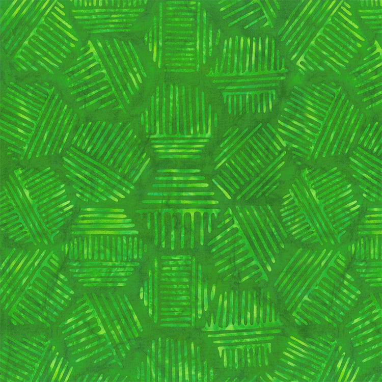 Hexies - Avocado