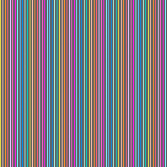 Solid Stripe - Gray Multi