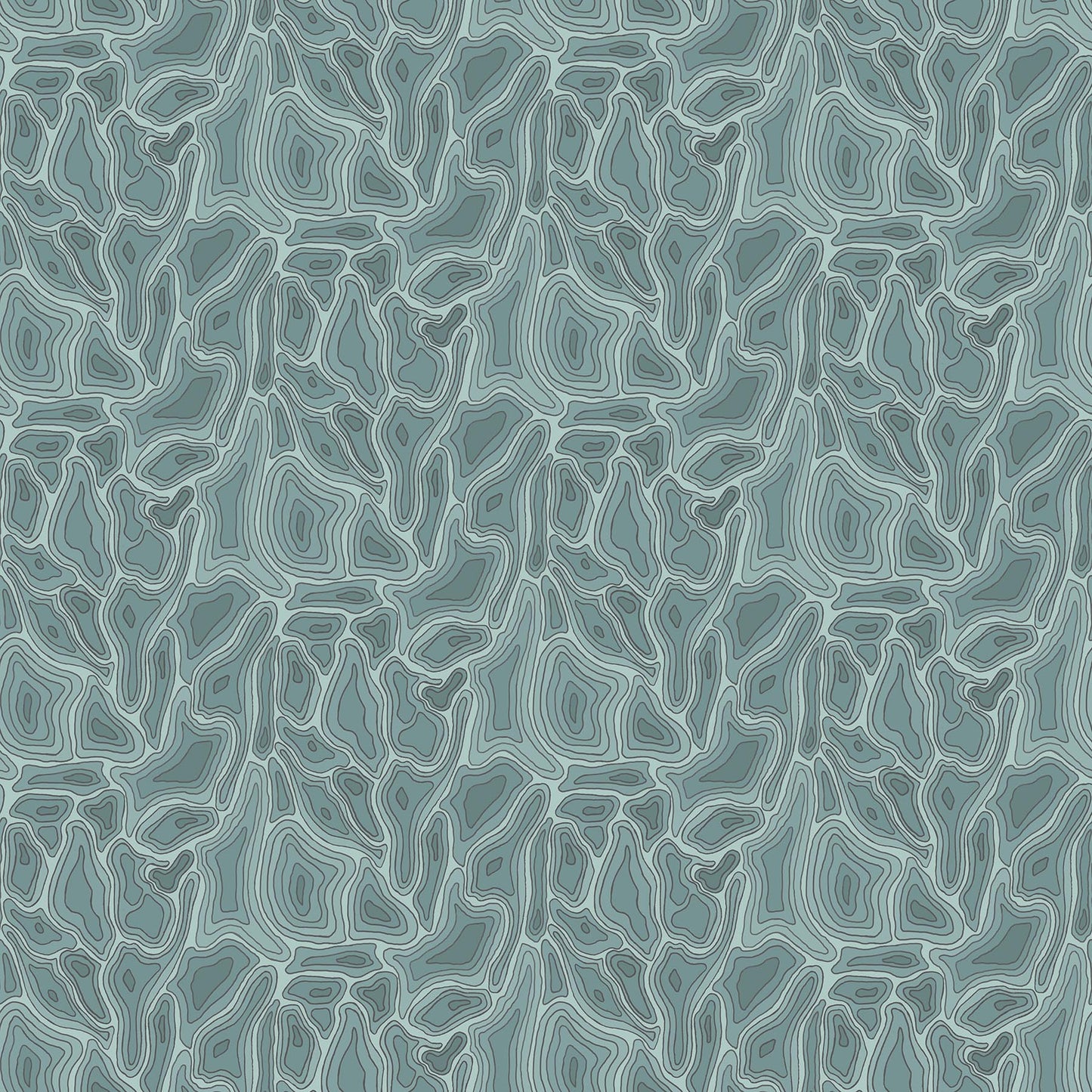 Topography - Mint