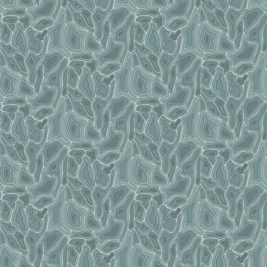 Topography - Mint