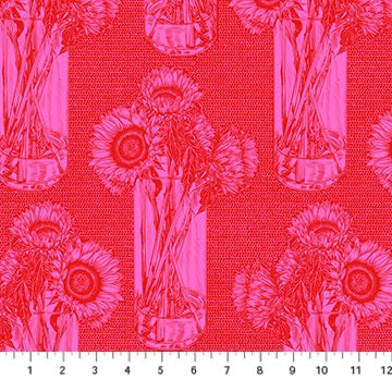 Sunflowers - Candy